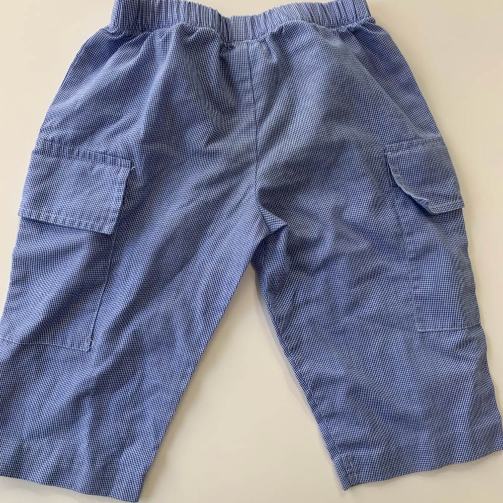 Blue Checkered Vive le Fete Cargo Pants